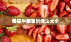 番茄牛腩家常做法大全