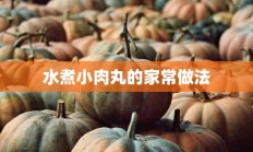 水煮小肉丸的家常做法