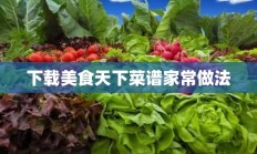 下载美食天下菜谱家常做法