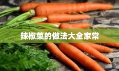 辣椒菜的做法大全家常