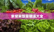 家常米饭菜做法大全