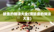 鲶鱼的做法大全(滑鲶鱼的做法大全)