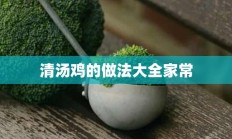 清汤鸡的做法大全家常