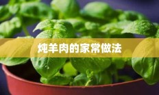 炖羊肉的家常做法