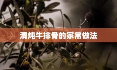 清炖牛排骨的家常做法