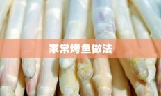 家常烤鱼做法