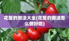 花蟹的做法大全(花蟹的做法怎么做好吃)