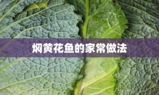 焖黄花鱼的家常做法