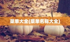 菜单大全(菜单名称大全)