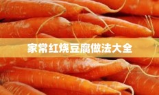 家常红烧豆腐做法大全