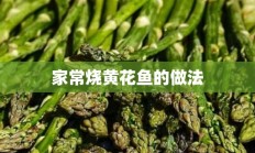 家常烧黄花鱼的做法