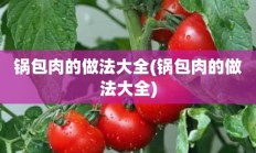 锅包肉的做法大全(锅包肉的做法大全)