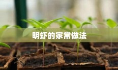 明虾的家常做法