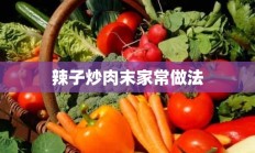 辣子炒肉末家常做法