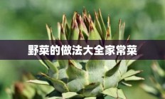 野菜的做法大全家常菜