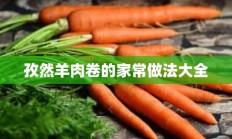 孜然羊肉卷的家常做法大全