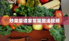 炒菜菜谱家常菜做法视频