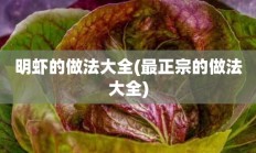 明虾的做法大全(最正宗的做法大全)