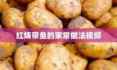 红烧带鱼的家常做法视频