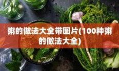 粥的做法大全带图片(100种粥的做法大全)