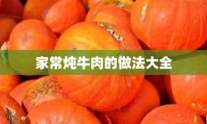 家常炖牛肉的做法大全