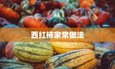 西红柿家常做法