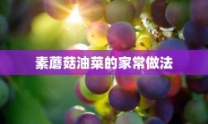 素蘑菇油菜的家常做法