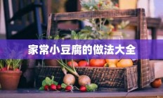 家常小豆腐的做法大全