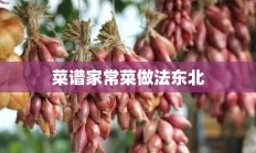 菜谱家常菜做法东北