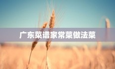 广东菜谱家常菜做法菜