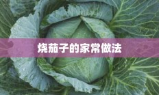 烧茄子的家常做法