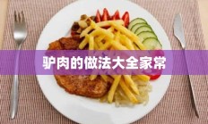 驴肉的做法大全家常