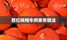 西红柿炖牛肉家常做法