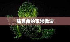 炖豆角的家常做法