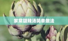 家常胡辣汤简单做法