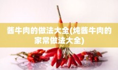 酱牛肉的做法大全(炖酱牛肉的家常做法大全)