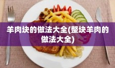 羊肉块的做法大全(整块羊肉的做法大全)