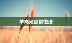 羊肉汤家常做法