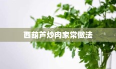 西葫芦炒肉家常做法