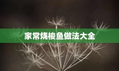 家常烧梭鱼做法大全