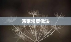 汤家常菜做法