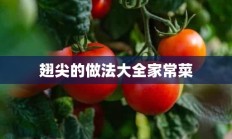 翅尖的做法大全家常菜