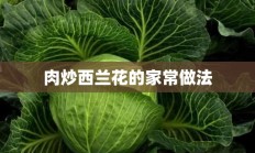 肉炒西兰花的家常做法