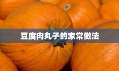 豆腐肉丸子的家常做法