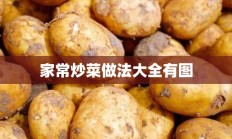 家常炒菜做法大全有图