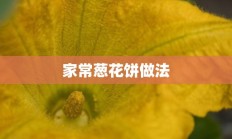 家常葱花饼做法