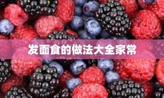 发面食的做法大全家常