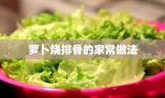 萝卜烧排骨的家常做法