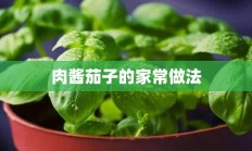 肉酱茄子的家常做法