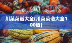 川菜菜谱大全(川菜菜谱大全100道)